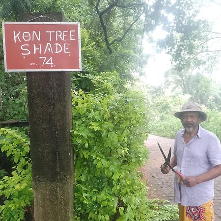 Kon Tree Shade Apartman Dambulla Kültér fotó