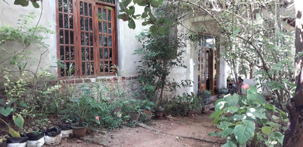Kon Tree Shade Apartman Dambulla Kültér fotó