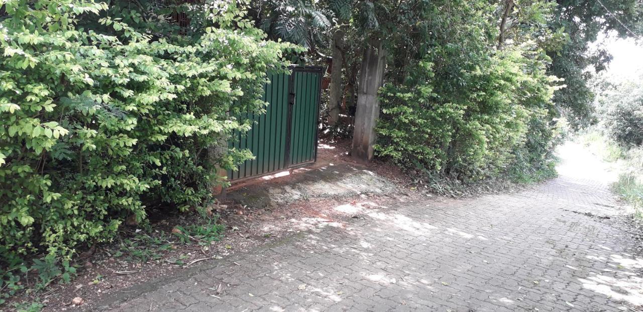 Kon Tree Shade Apartman Dambulla Kültér fotó