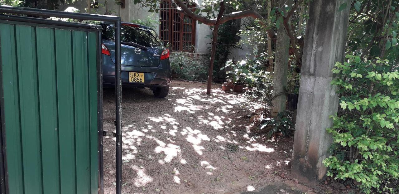 Kon Tree Shade Apartman Dambulla Kültér fotó