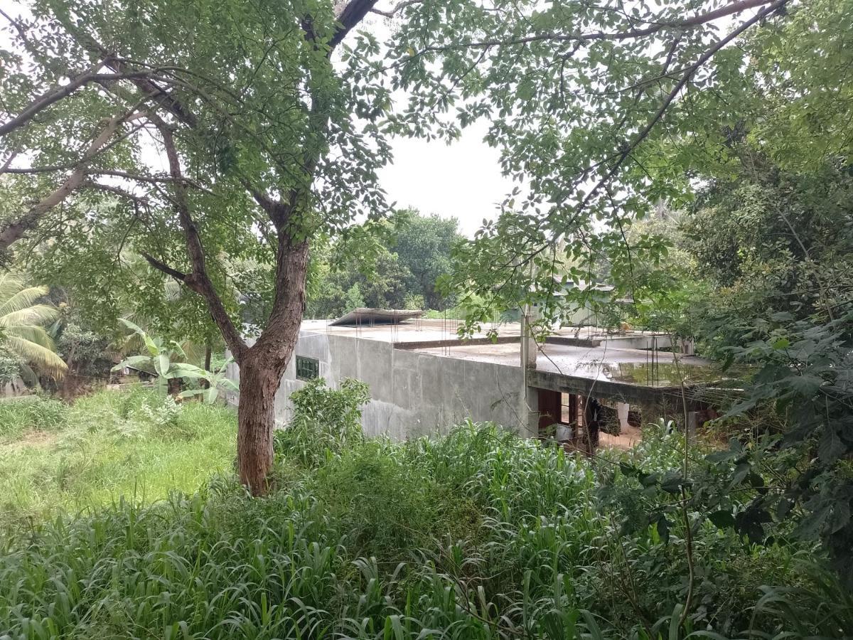 Kon Tree Shade Apartman Dambulla Kültér fotó