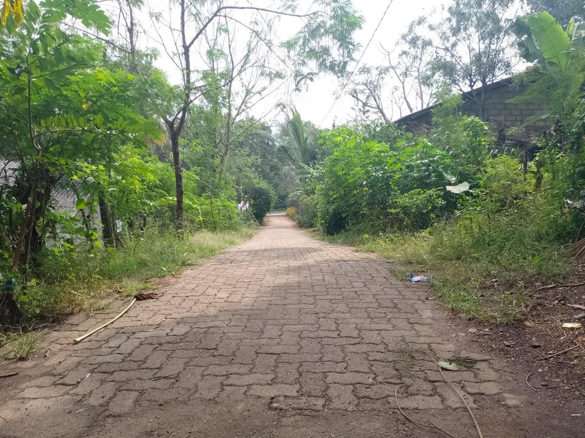 Kon Tree Shade Apartman Dambulla Kültér fotó