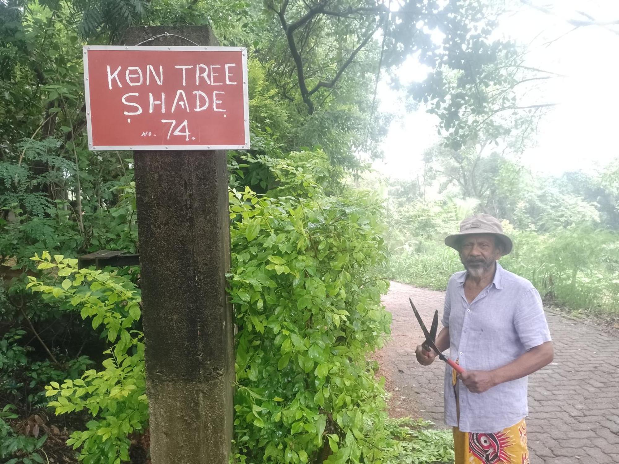 Kon Tree Shade Apartman Dambulla Kültér fotó